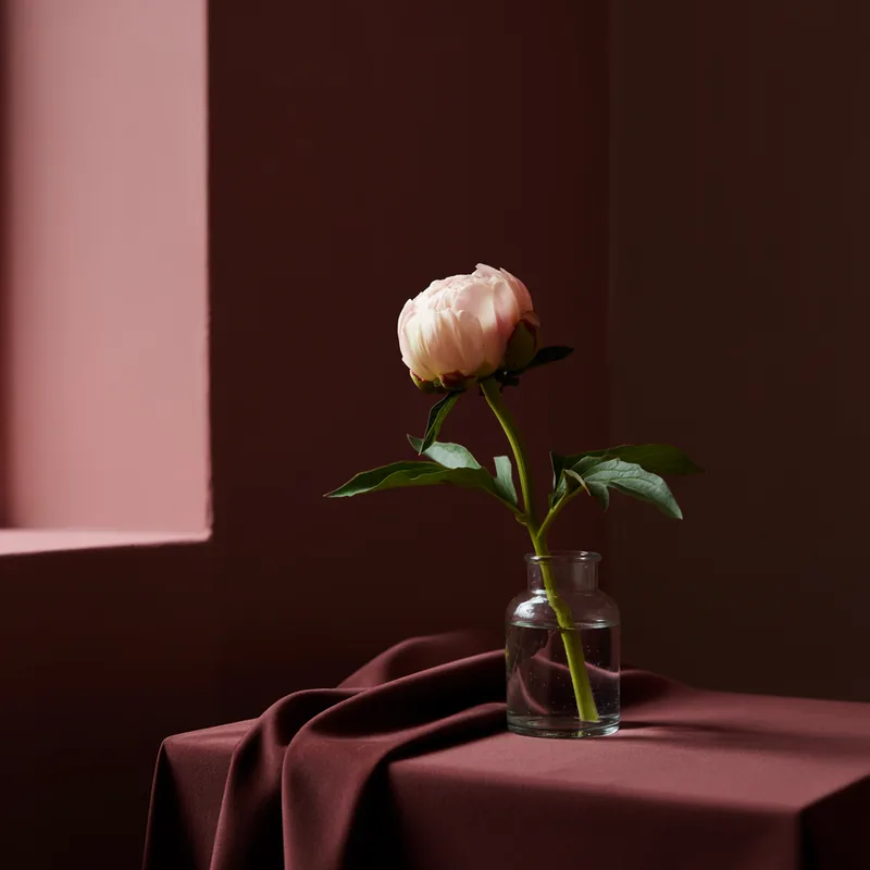 Botão de peônia rosa em pequeno vaso de vidro sobre tecido cor de vinho, em luz lateral de janela