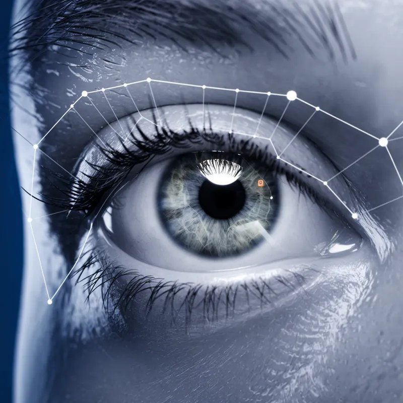 Retina e mácula